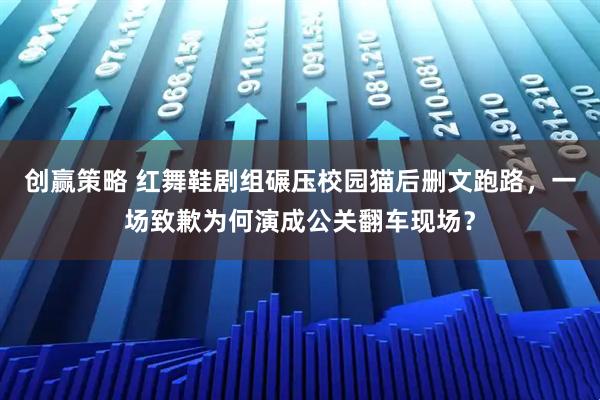 创赢策略 红舞鞋剧组碾压校园猫后删文跑路,一场致歉为何演成公关翻车现场?